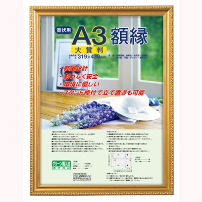［ナカバヤシ］樹脂製賞状額 金ケシ 大賞判 フ-KWP-41